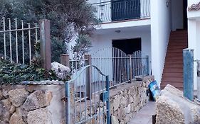 Gli Ulivi
